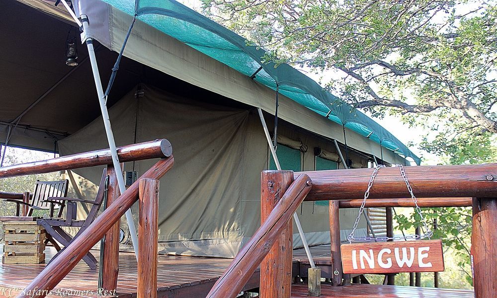 Roamers Rest Safari Lodge Balule Game Reserve Exterior photo